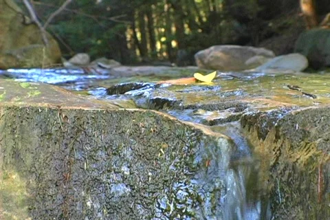 Water02 Video stock 105528