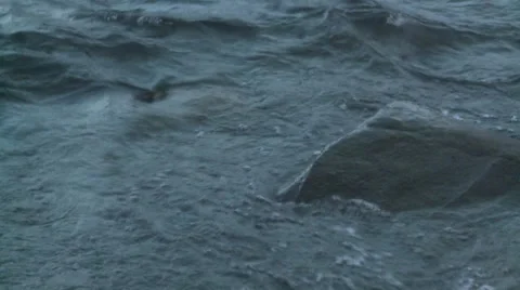 Water2 스톡 동영상 1107534