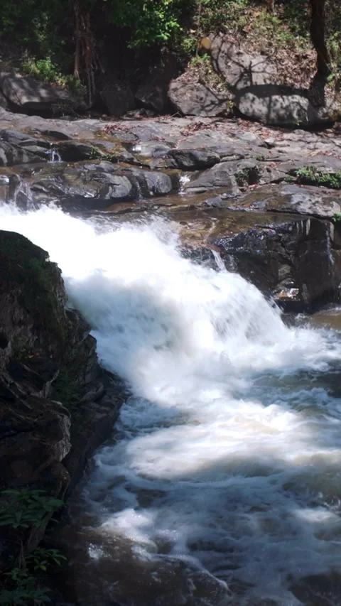 Water5 Video stock 329667462