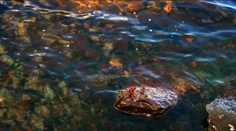 Water8 Stock Footage 528146