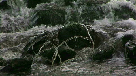 Water_stream_10 Video stock 329071