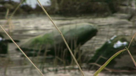 Water_stream_13 Video stock 329087