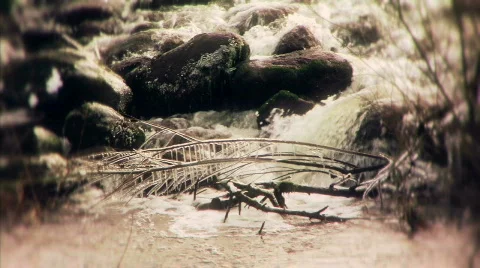 Water_stream_17 Video stock 329149