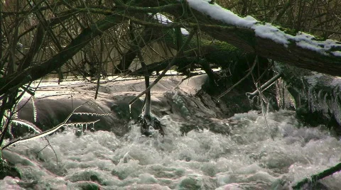 Water_stream_24 Video stock 330115