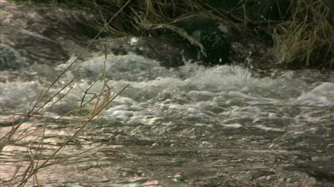 Water_stream_26 Video stock 330144