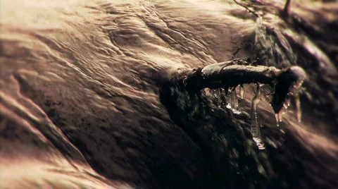 Water_stream_31 Video stock 330336