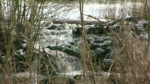 Water_stream_4 Video stock 328985