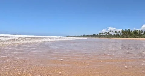 Waterandbeach Stock Footage 234087112