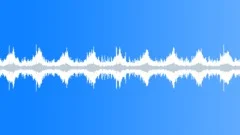 Waterbirds 008Sound Effect