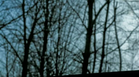 Waterbottle hd Stock Footage 113796