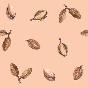 Watercolor Almonds nut in nutshell. Seamless pattern. Botanical plant food Stock Illustration