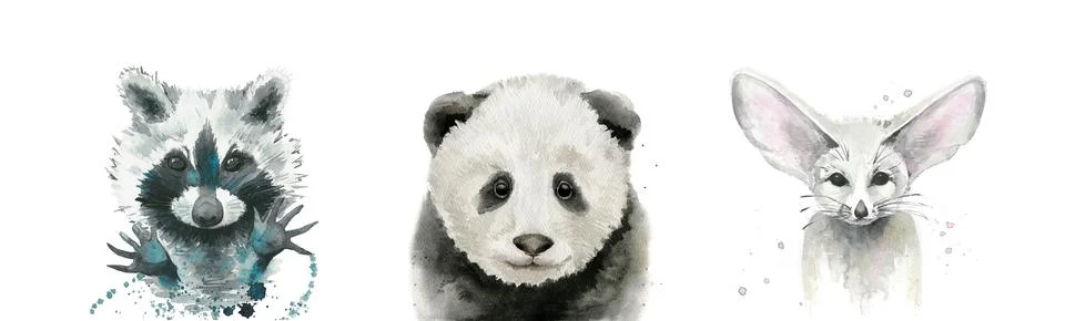 Watercolor animal face set. Panda, raccoon and fox fennec. Watercolour Stock Illustration