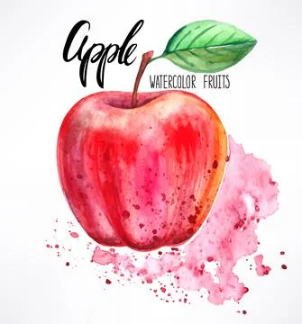 Watercolor apple Stock Illustration