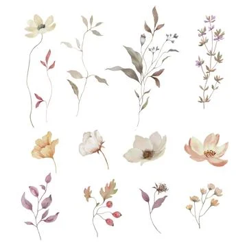 Watercolor autumn botanicals elements vector set. 스톡 일러스트