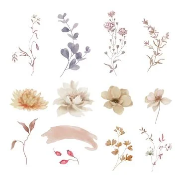 Watercolor autumn botanicals elements vector set Ilustração Stock