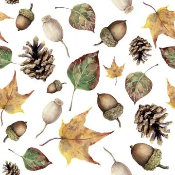 Watercolor autumn forest seamless pattern. Hand painted pine cone, acorn, berry Stock Illustration