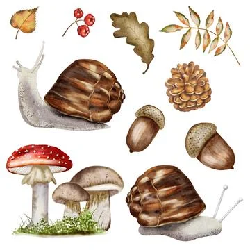 Watercolor autumn pattern featuring snails, mushrooms, and leaves for texti.. Stock Illustration