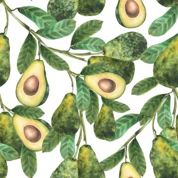 Watercolor avocado branch seamless pattern. Whole and half fruit with green.. Stock Illustration