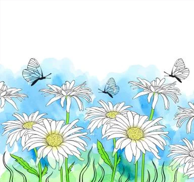 Watercolor background with chamomile Stock Illustration