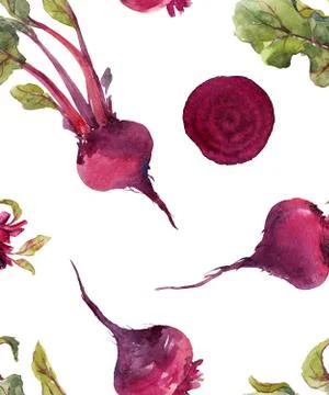 Watercolor beet vector pattern イラスト素材