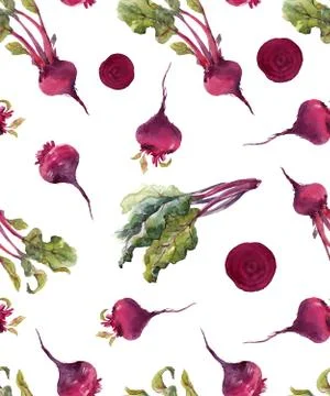 Watercolor beet vector pattern Stock Illustration