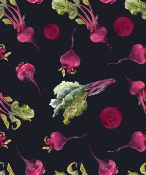 Watercolor beet vector pattern イラスト素材