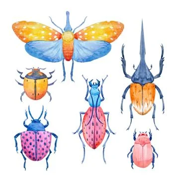 Watercolor beetle vector set Stock Illustration