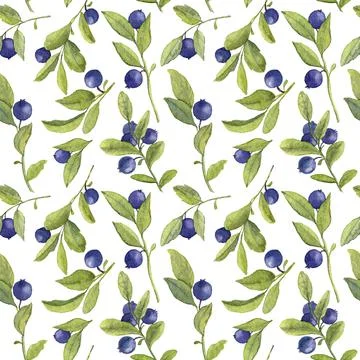 Watercolor Blueberries pattern Stock Illustration