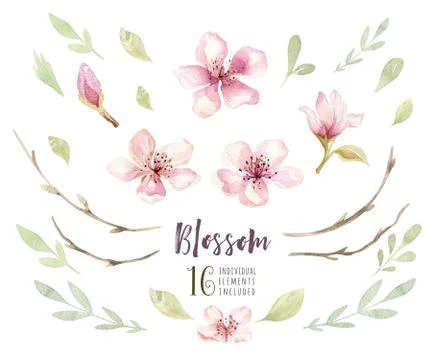 Watercolor boho blossom flower set. Spring or summer decoration Stock Illustration