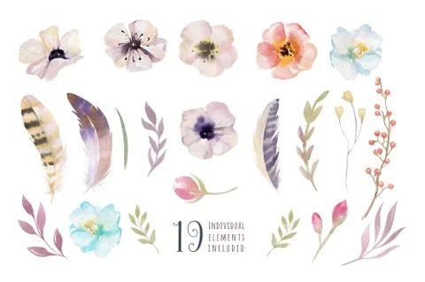 Watercolor boho flower set. Spring or summer decoration floral d Stock Illustration