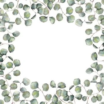 Watercolor border with silver dollar eucalyptus branch. Hand painted floral Stock Illustration