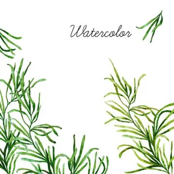Watercolor botanical elements Stock Photos