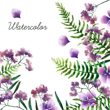Watercolor botanical elements Stock Photos
