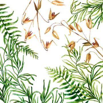 Watercolor botanical elements Stock Photos