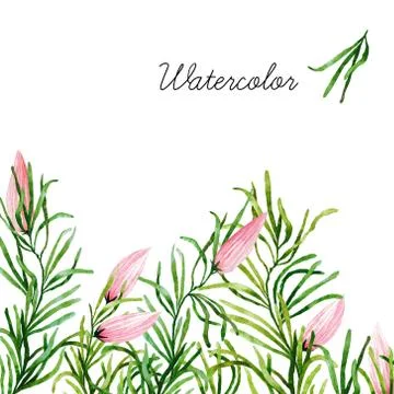 Watercolor botanical elements Stock Photos