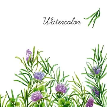 Watercolor botanical elements Stock Photos