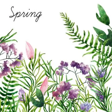 Watercolor botanical elements Foto stock