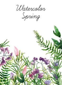 Watercolor botanical elements Foto stock