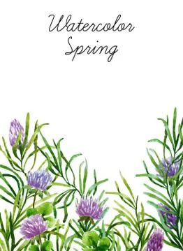 Watercolor botanical elements Stock Photos