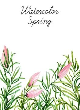 Watercolor botanical elements Stock Photos