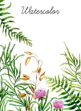 Watercolor botanical elements Stock Photos