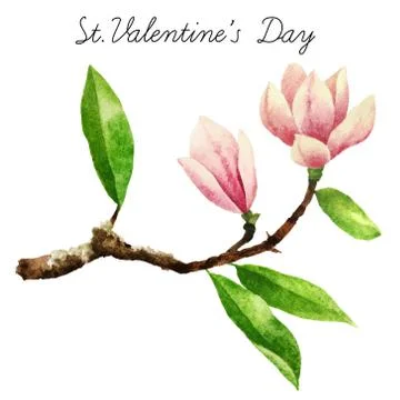 Watercolor botanical elements Stock Photos