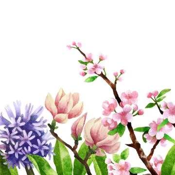 Watercolor botanical elements Foto stock