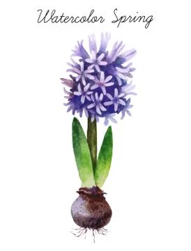 Watercolor botanical elements Stock Photos