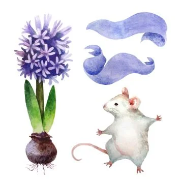 Watercolor botanical elements Foto stock