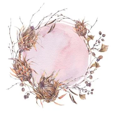 Watercolor botanical round frame, Flowers protea Stock Illustration