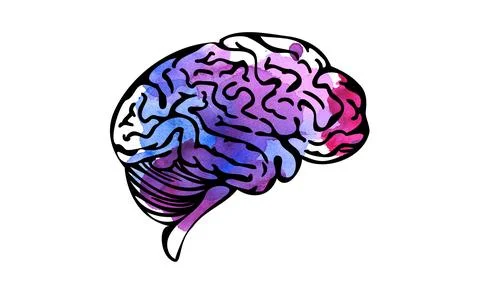Watercolor brain, creativity concept. Vector illustration Stock Illustration