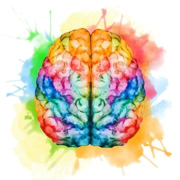 Watercolor brain Stock Illustration