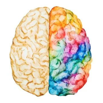 Watercolor brain 스톡 일러스트