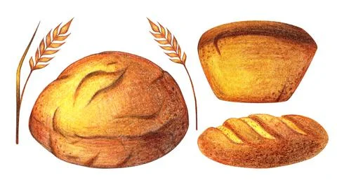 Watercolor Bread set illustration. Different type of bread. Daily Fresh organic Stock Illustration